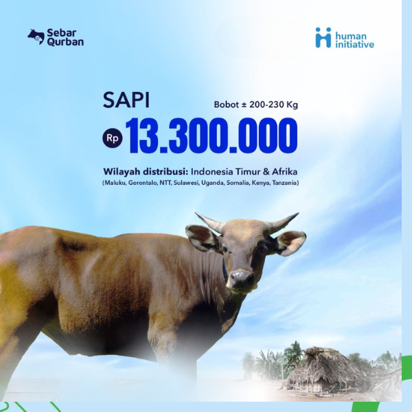 

Hewan Qurban Sapi Standar - Human Initiative