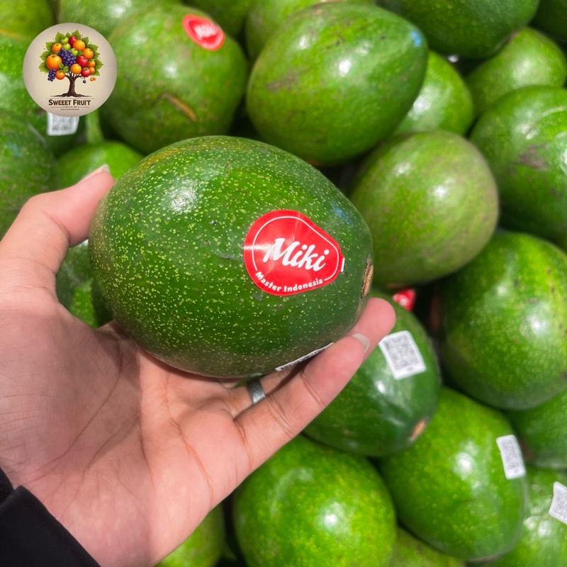 

Alpukat Miki Mentega | Alpukat Miki Master Indonesia fresh 1 kg