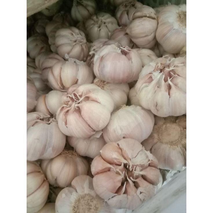 

BAWANG PUTIH BANCI 125g 250g 500g