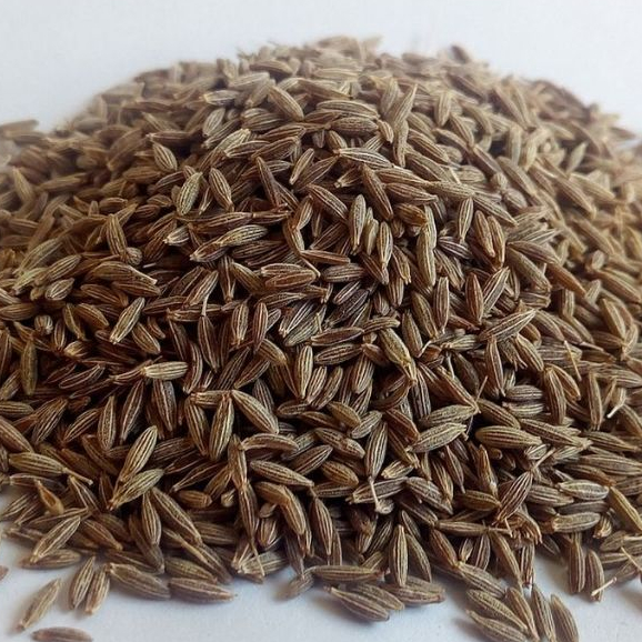

BIJI JINTEN JINTAN CUMIN CARAWAY UTUH TERMURAH 250 GR KEMASAN BAIK ANTI BOCOR