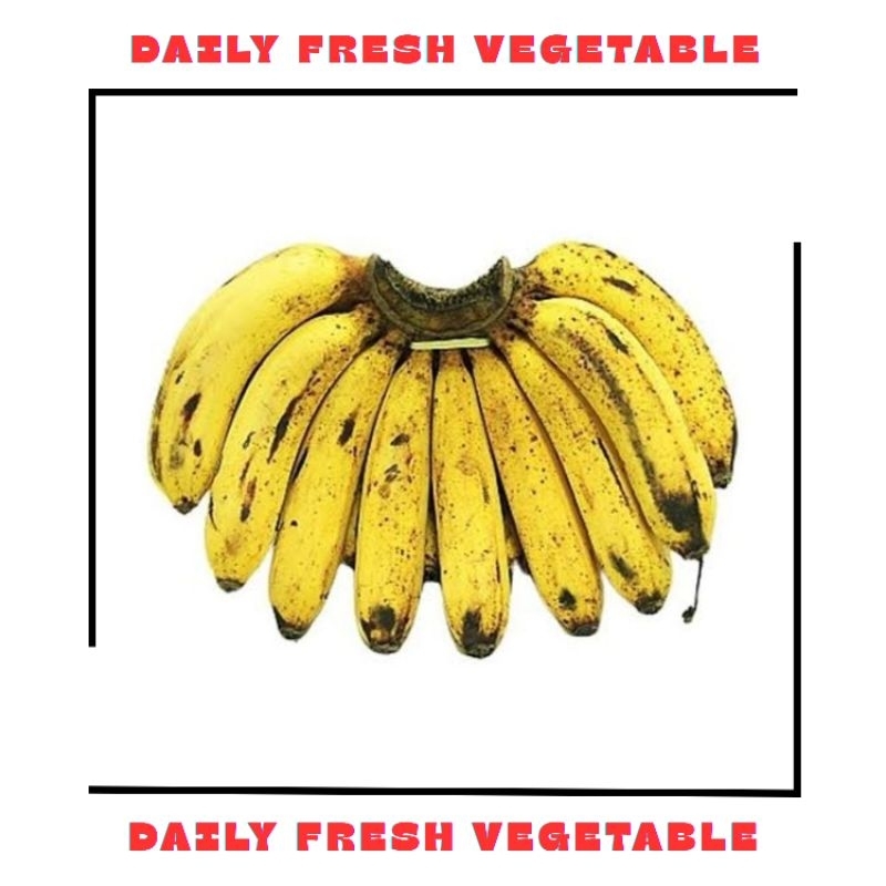 

Pisang Barangan Fresh 1 Sisir