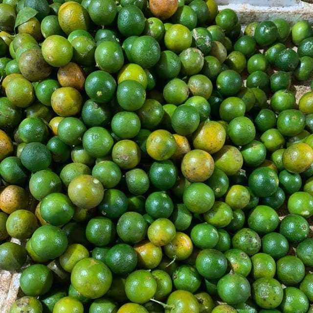 

JERUK NIPIS SONKIT HIJAU 250g 500g 1kg