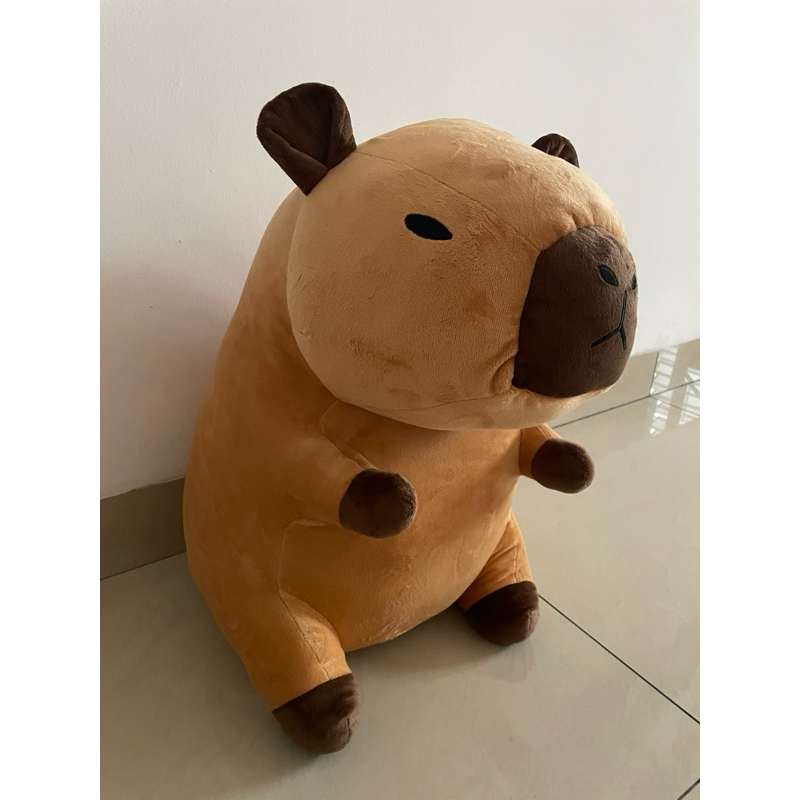 Boneka Capybara Jumbo 65cm JUAL MURAH
