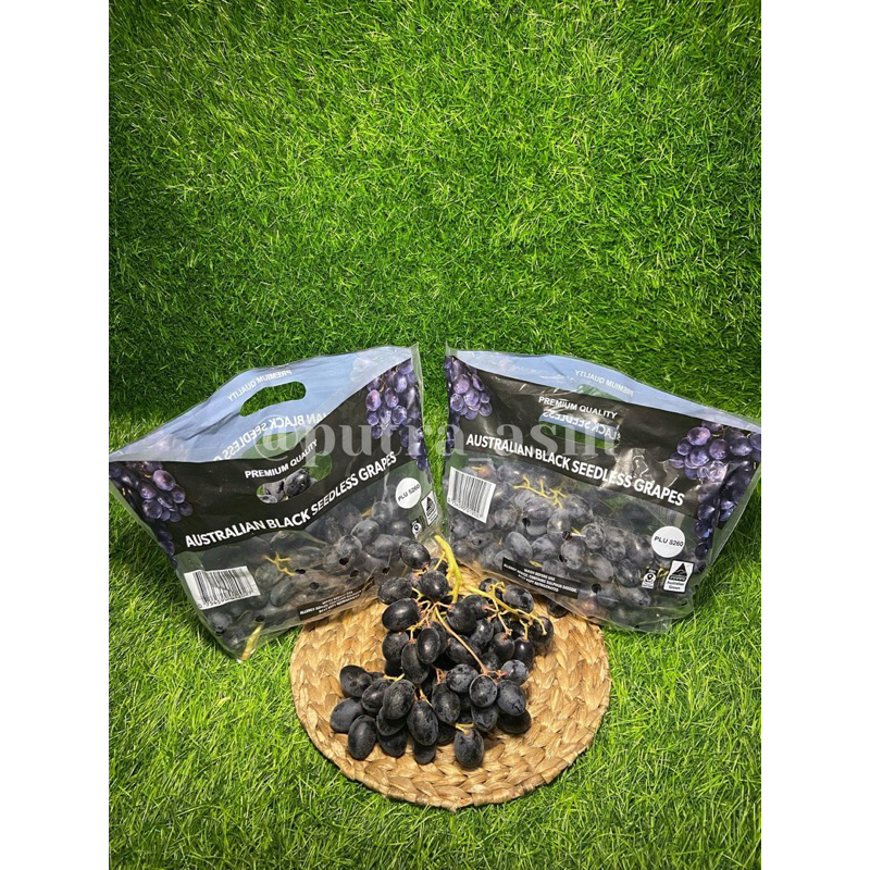 

Anggur Autumn Black Seedless