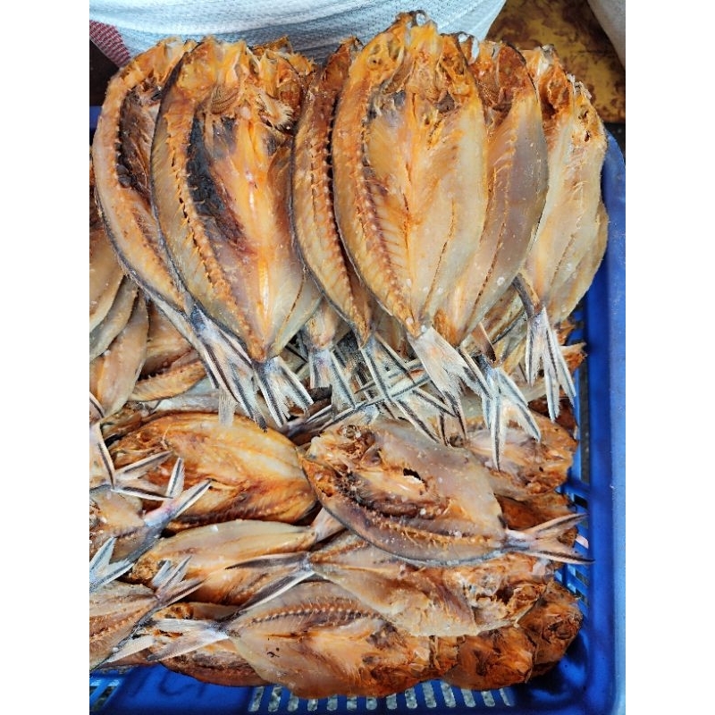 

IKAN SINRILI 1kg