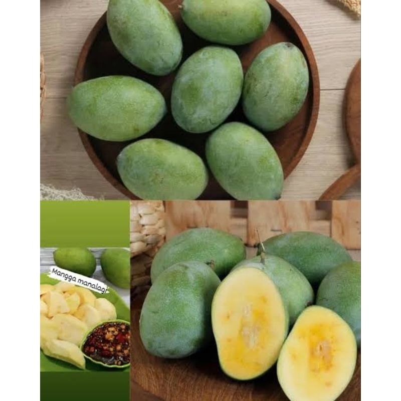 

Mangga manalagi mangga lalijiwo 1kg