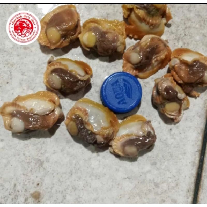 

Kerang Bulu Kupas Bersih dan Segar