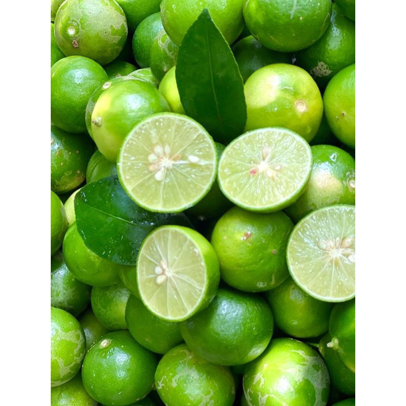 

Jeruk Nipis Hijau Segar Kwalitas Super 1Kg