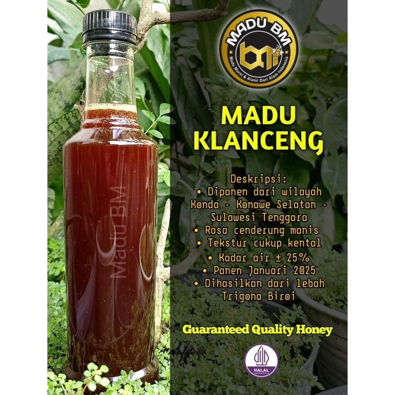 

Madu BM-MADU KLANCENG