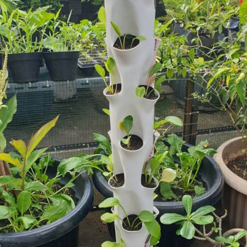 Pot Bunga cabang Paralon Minimalis