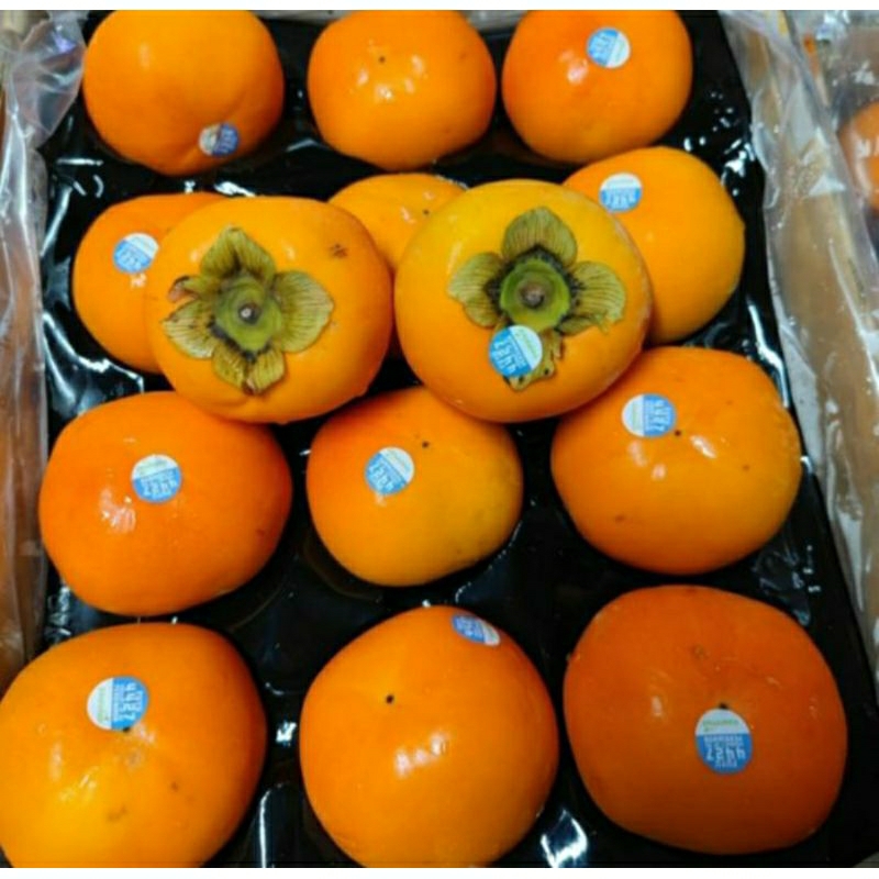 

persimon newzealand 3pcs