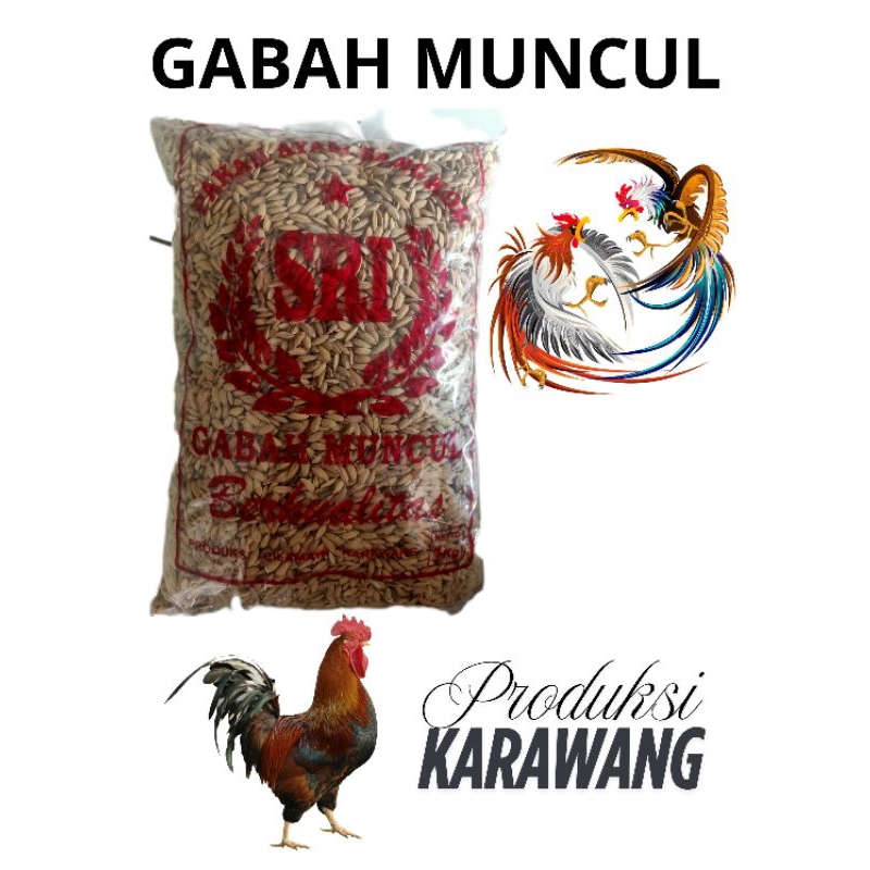 Gabah Muncul ayam 1 kg SRI