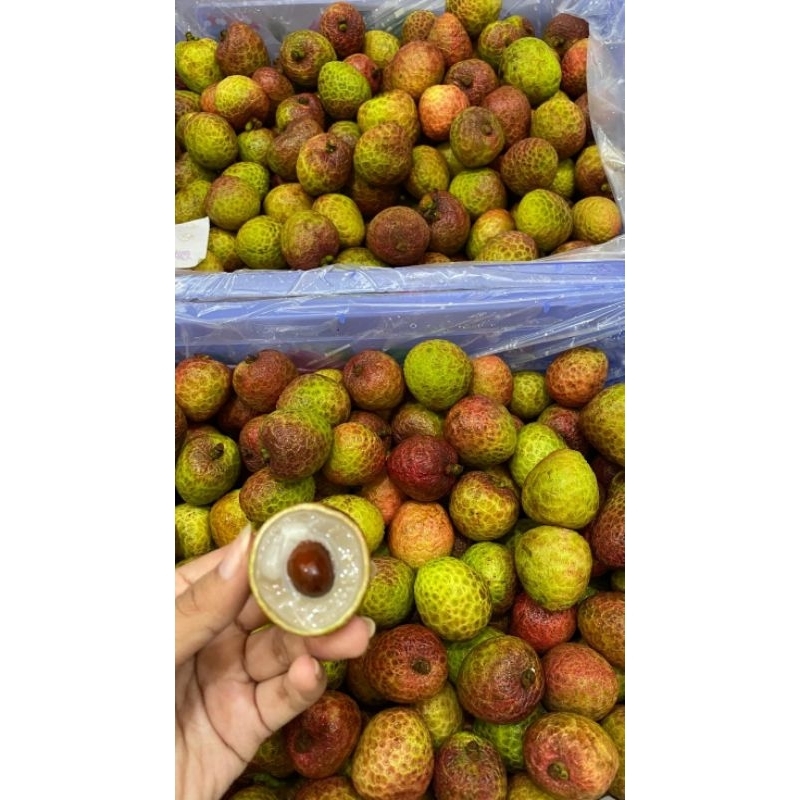 

Buah Lychee Merah