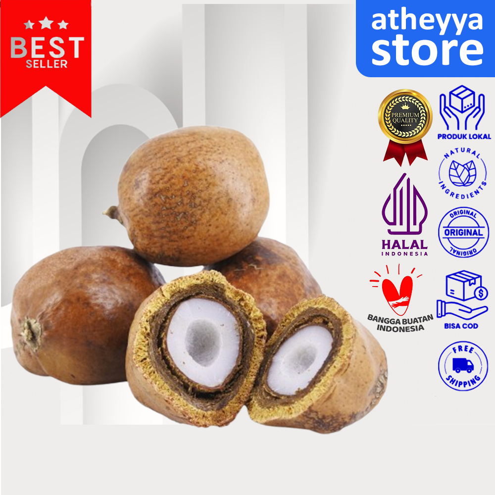 

Buah Zuriat Mesir Promil 1kg Original Buah Zuriyat Mesir Buah Dzuriyat promil