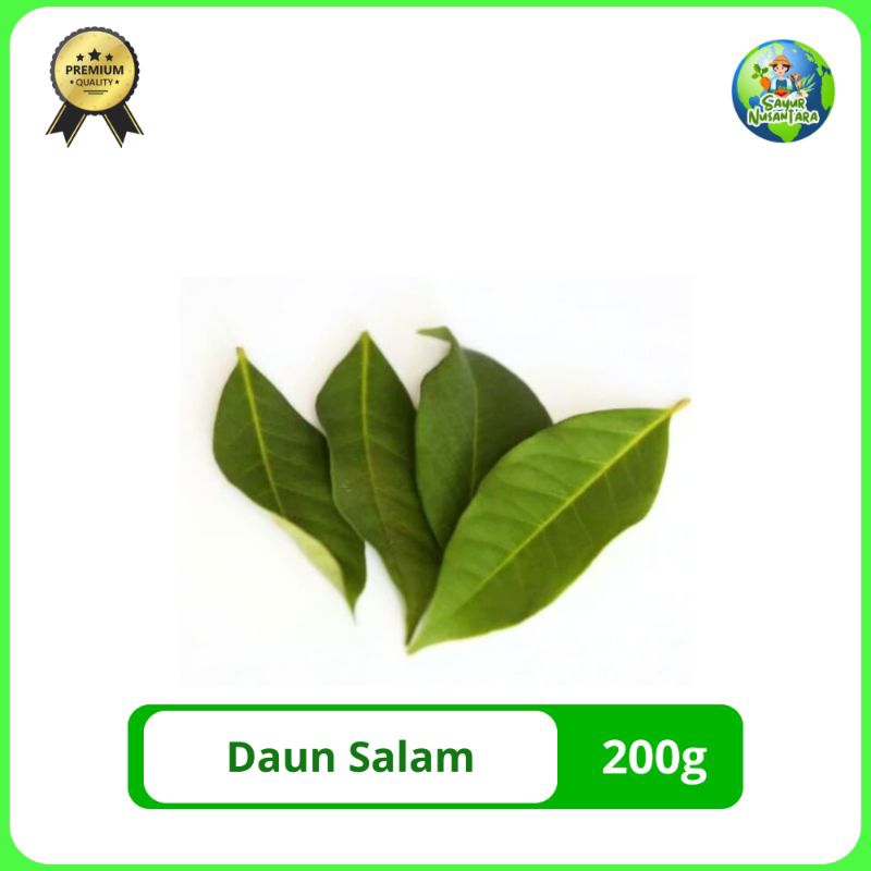 

Daun Salam hijau [200g]