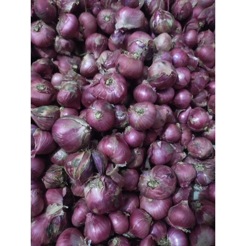 

Bawang merah lokal super 1kg asli Garut dari petani