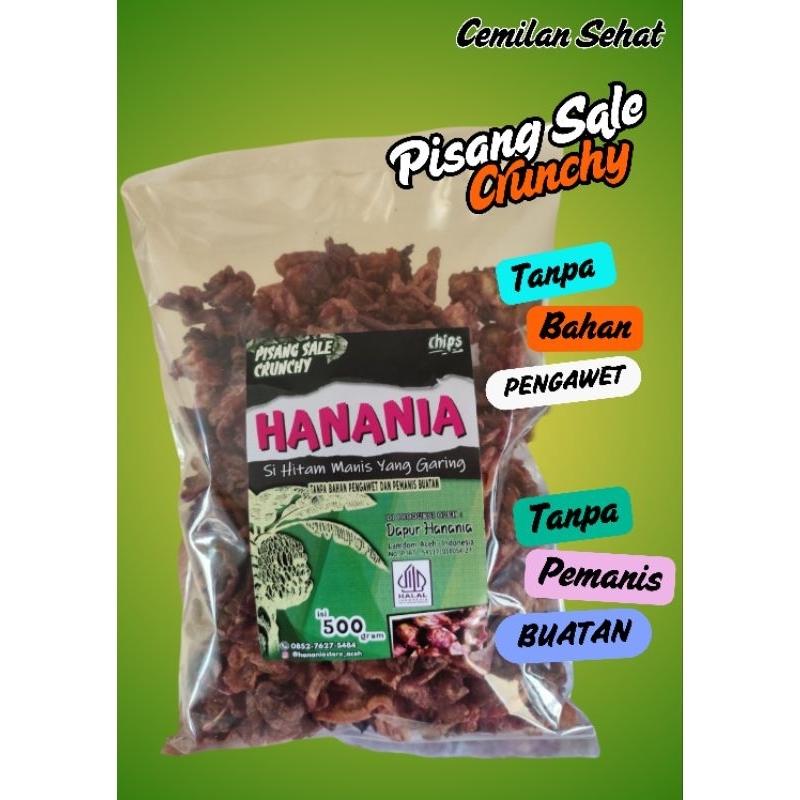 

Keripik Pisang Sale Crunchy HANANIA 500gr Cemilan Sehat Chips