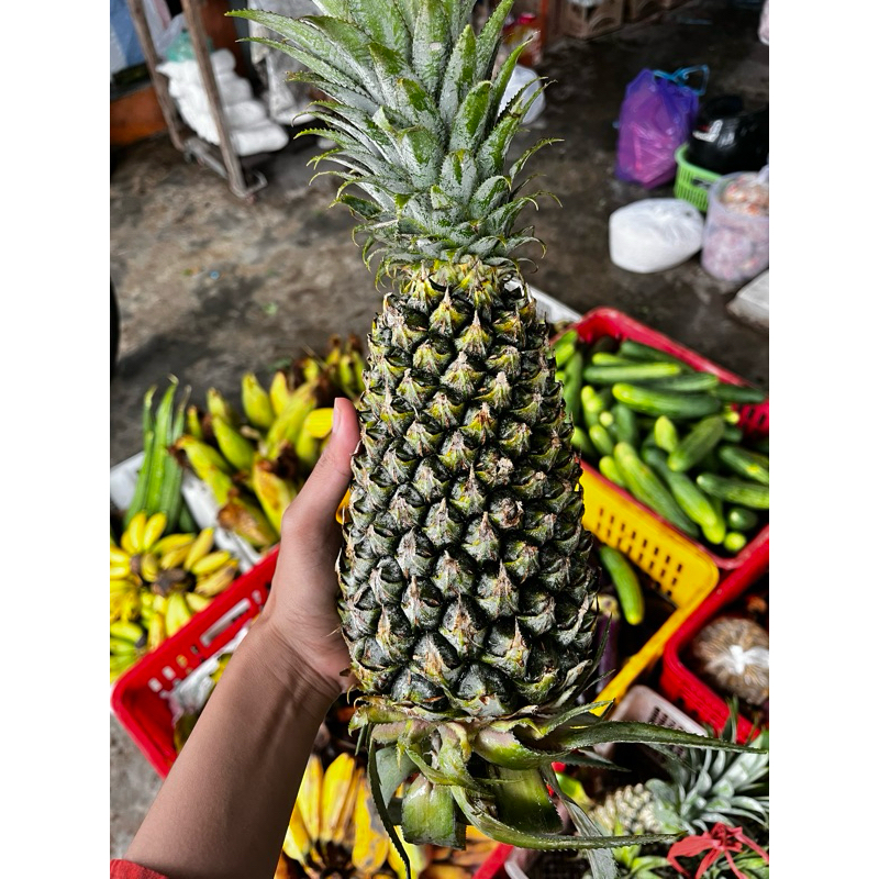 

INSTAN - BUAH NANAS PER BIJI | NANAS MATANG | NANAS KUNING SEGAR | NENAS MANIS