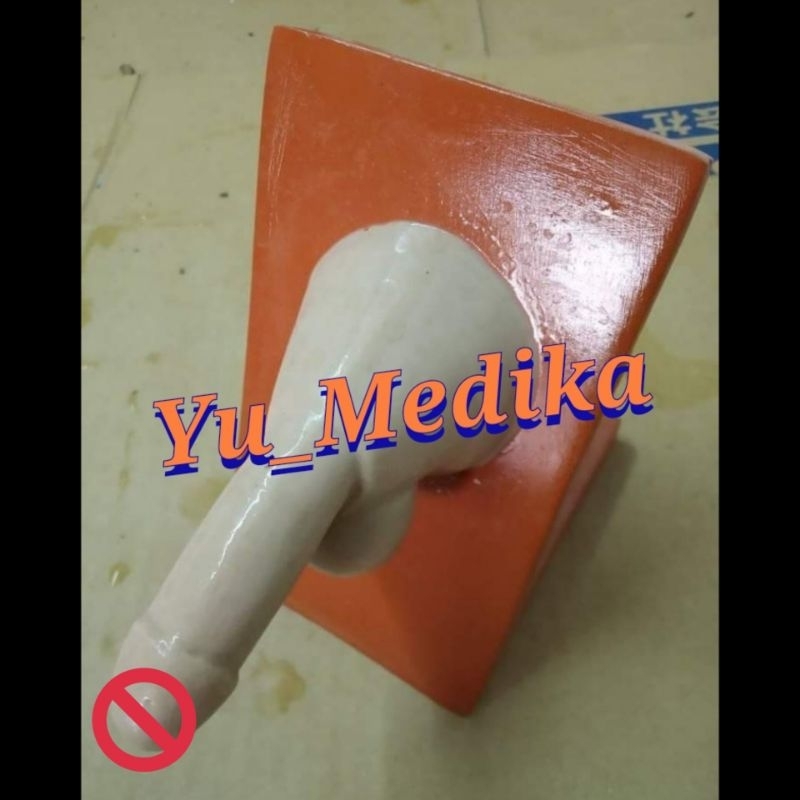 Phantom Manikin Sirkumsisi / Sunat |Alat Peraga Pendidikan|Manekin|