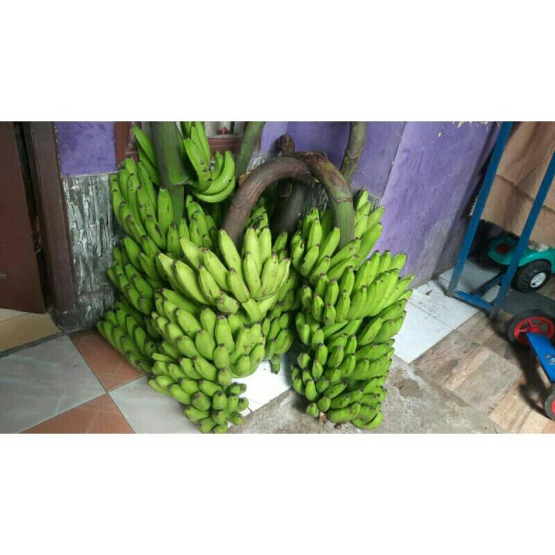 

pisang