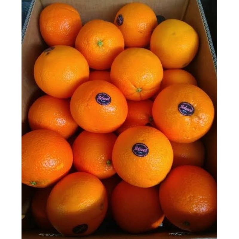 

jeruk sunkist navel sanqish fresh termurah import perdus berat 13 kg