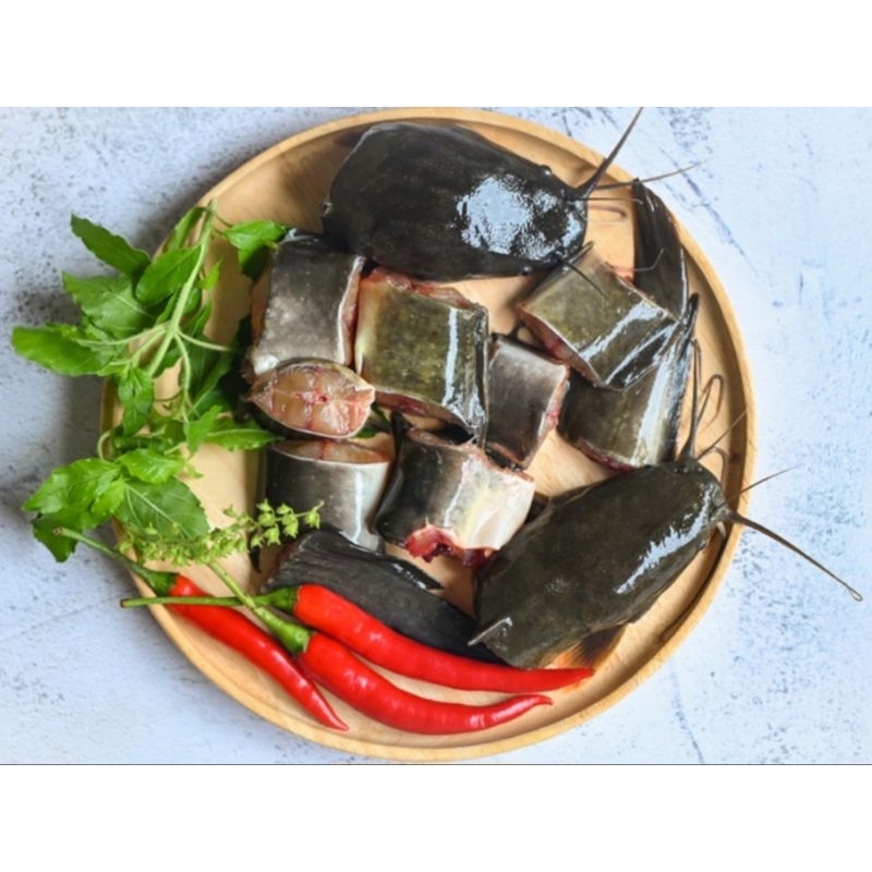 

IKAN LELE KONSUMSI SEGAR/IKAN SEGAR/LELE SEGAR/IKAN LELE SEGAR/FRESH CATFISH (IKAN LELE KHUSUS KIRIM INSTAN)