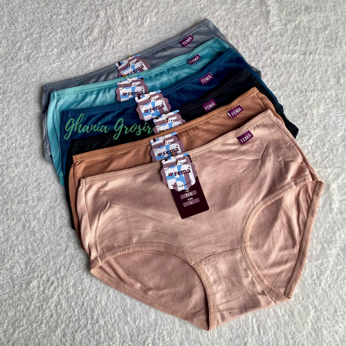 Lusinan 12 Pcs CD Celana Dalam Wanita Fema 313