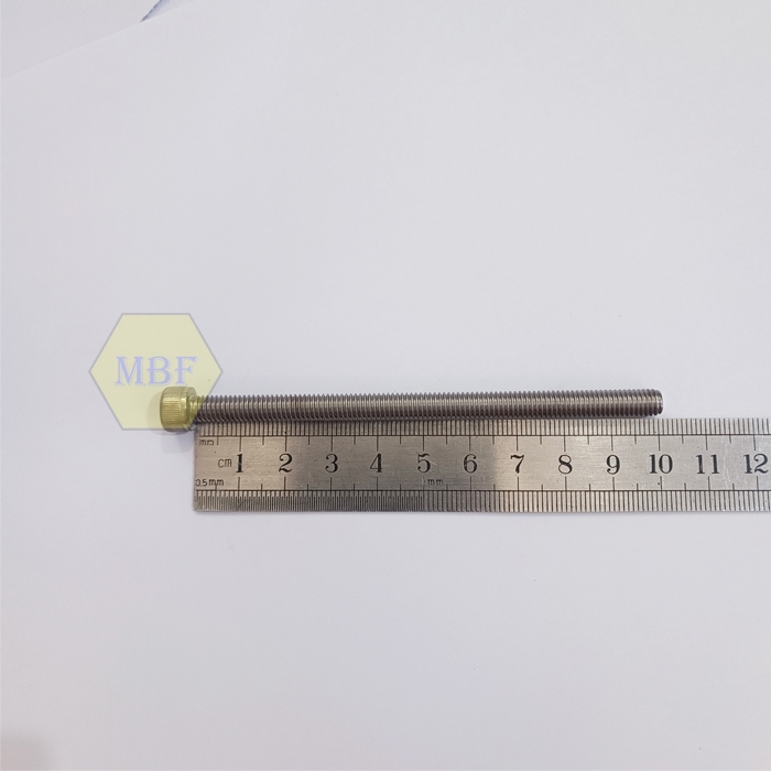 M6 x 100 Baut L Hex Head Socket Stainless 304 M6x100