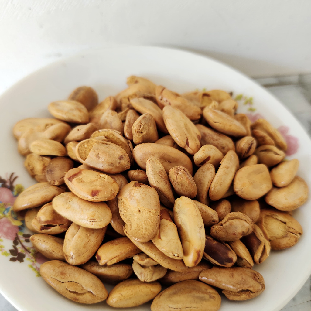 

Cahayadstore Biji Kedawung/Kacang Mindik Sengon Grade A Dioven Tidak Digoreng Cemilan Langka