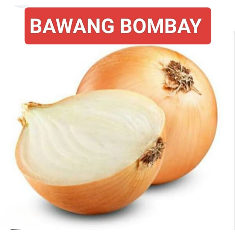 

BAWANG BOMBAY 1BUTIR (±100GR)