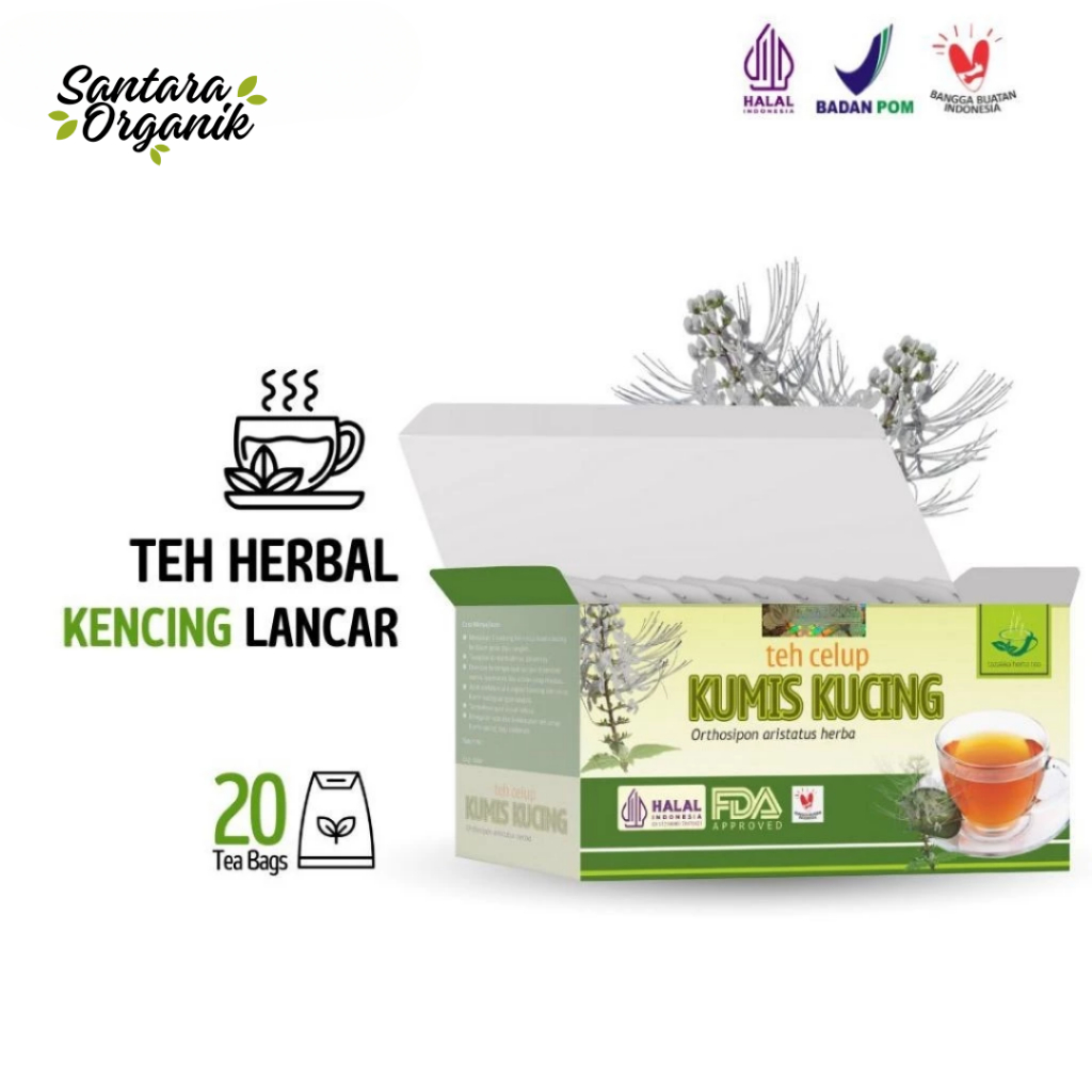 

Teh Herbal Obat Ginjal Dan Kencing Lancar Alami Teh Herbal Kumis Kucing Tazakka