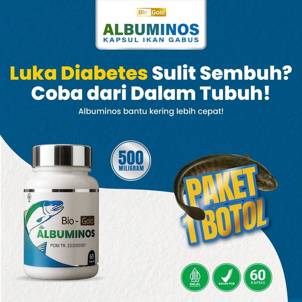 Albuminos - Kapsul Ikan Kutuk Gabus 500 mg Untuk Luka Diabetes Basah Kering Ekstrak Albumin