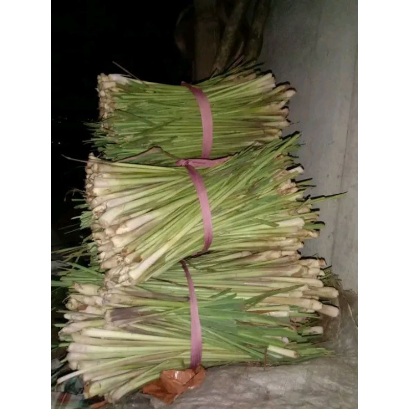 

250gr,sereh dapur segar langsung dari kebun