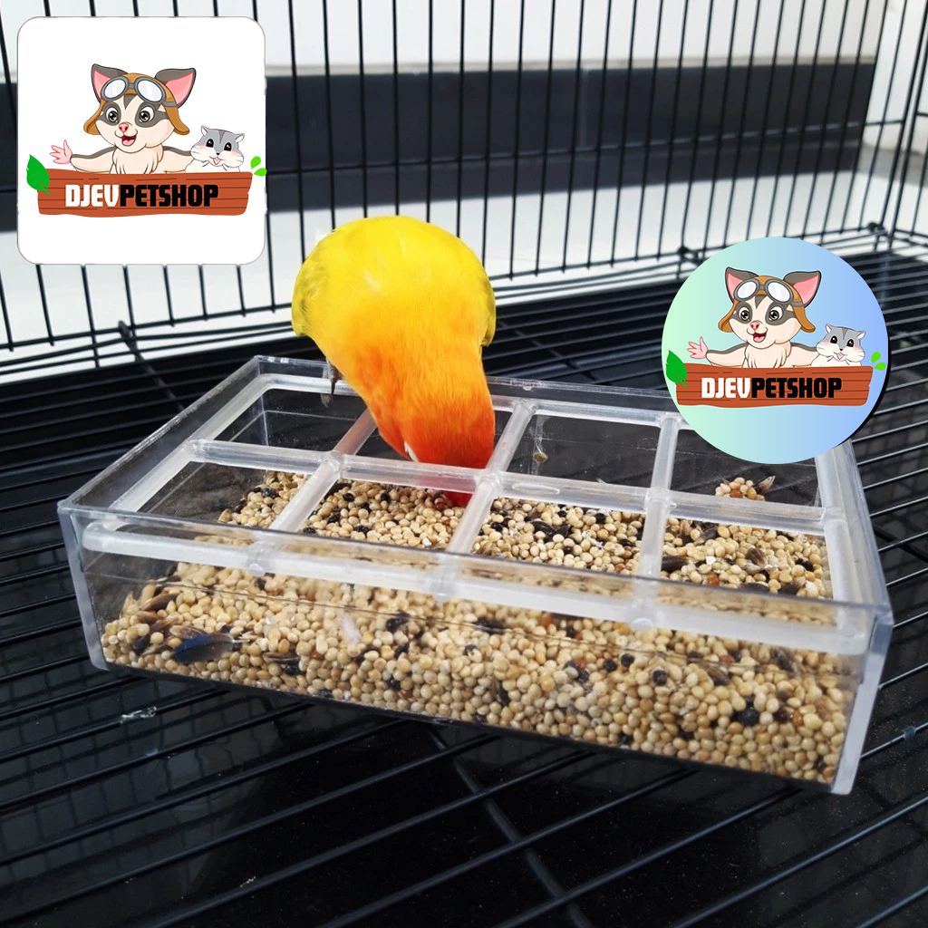 WADAH PAKAN KOLONI AKRILIK SEMPATI CEPUK RAM TEMPAT MAKAN TERNAK BURUNG