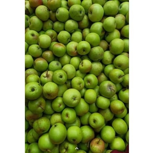 

Apel Manalagi cerry fresh 1kg isi 20-30