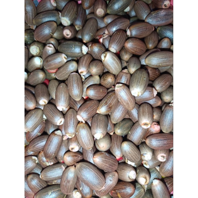 

Buah Melinjo Kupas / Tangkil / Biji Melinjo