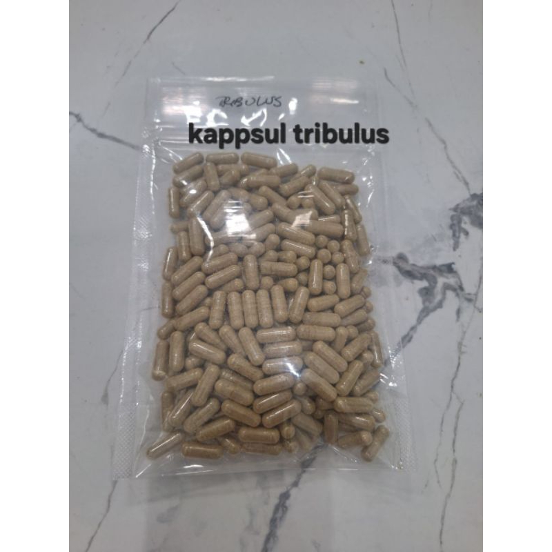 KAPSUL TRIBULUS ISI 100 ASLI ALAMI BERKHASIAT