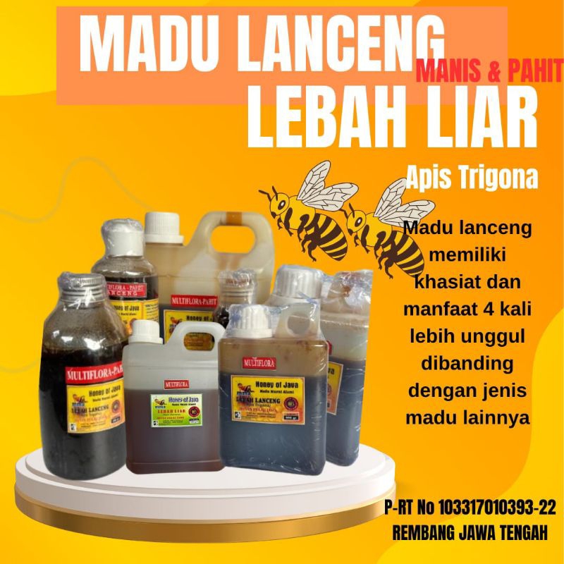 

Madu Murni Original - Madu Lanceng, Klanceng, Kelulut Manis Premium (Apis Trigona), Madu Lebah Liar 500 gr House of Geefa