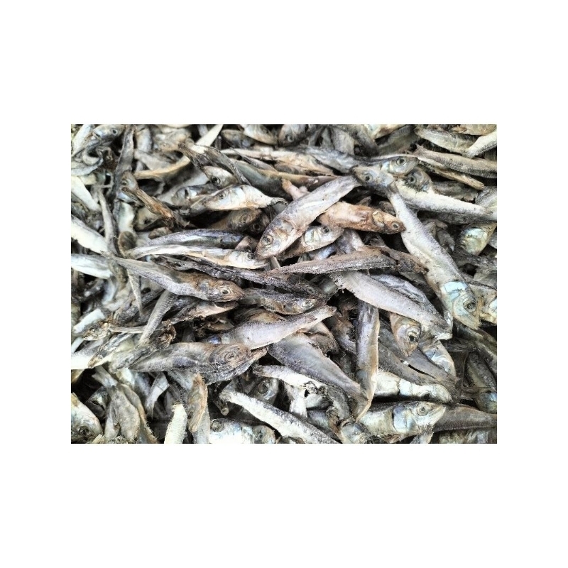 

ikanasinlemet/terilemet/anaktembang/teribatu/murah