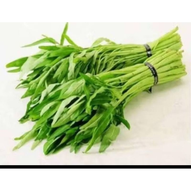 

sayur kangkung fress/sayuran segar/kangkung segar/kangkung ikat