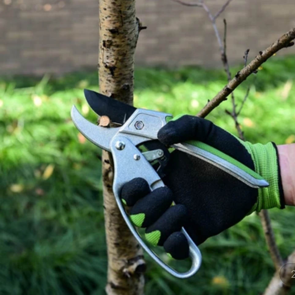 Gunting Untuk Memotong Ranting Dan Cabng Tanaman Hias Yardsmith Ratchet Pruner