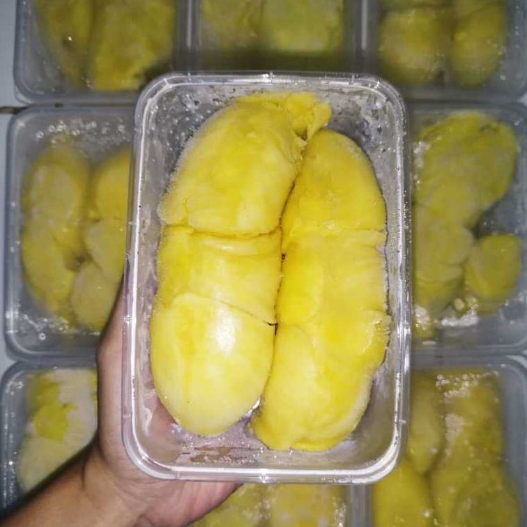 

DURIAN MONTONG PALU PREMIUM GARANSI