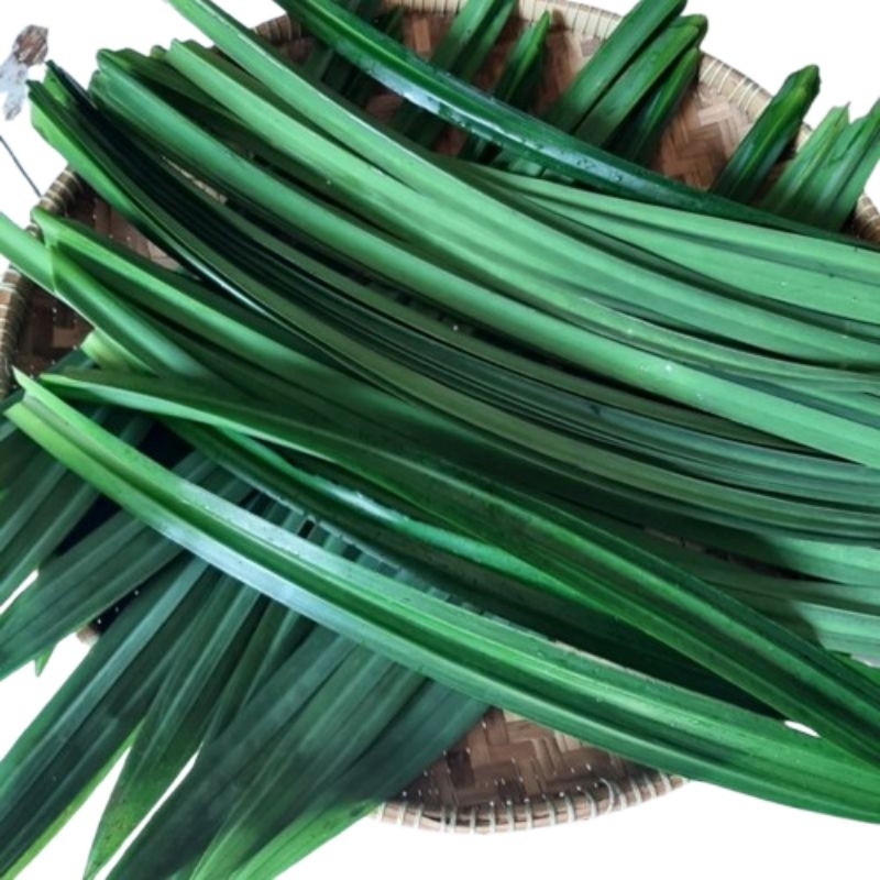 

Daun pandan wangi dan segar (1 LEMBAR)
