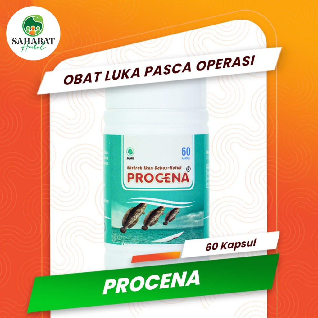 Procena Obat Luka Pasca Operasi 60 Kapsul - Ekstrak Ikan Gabus Kaya Albumin