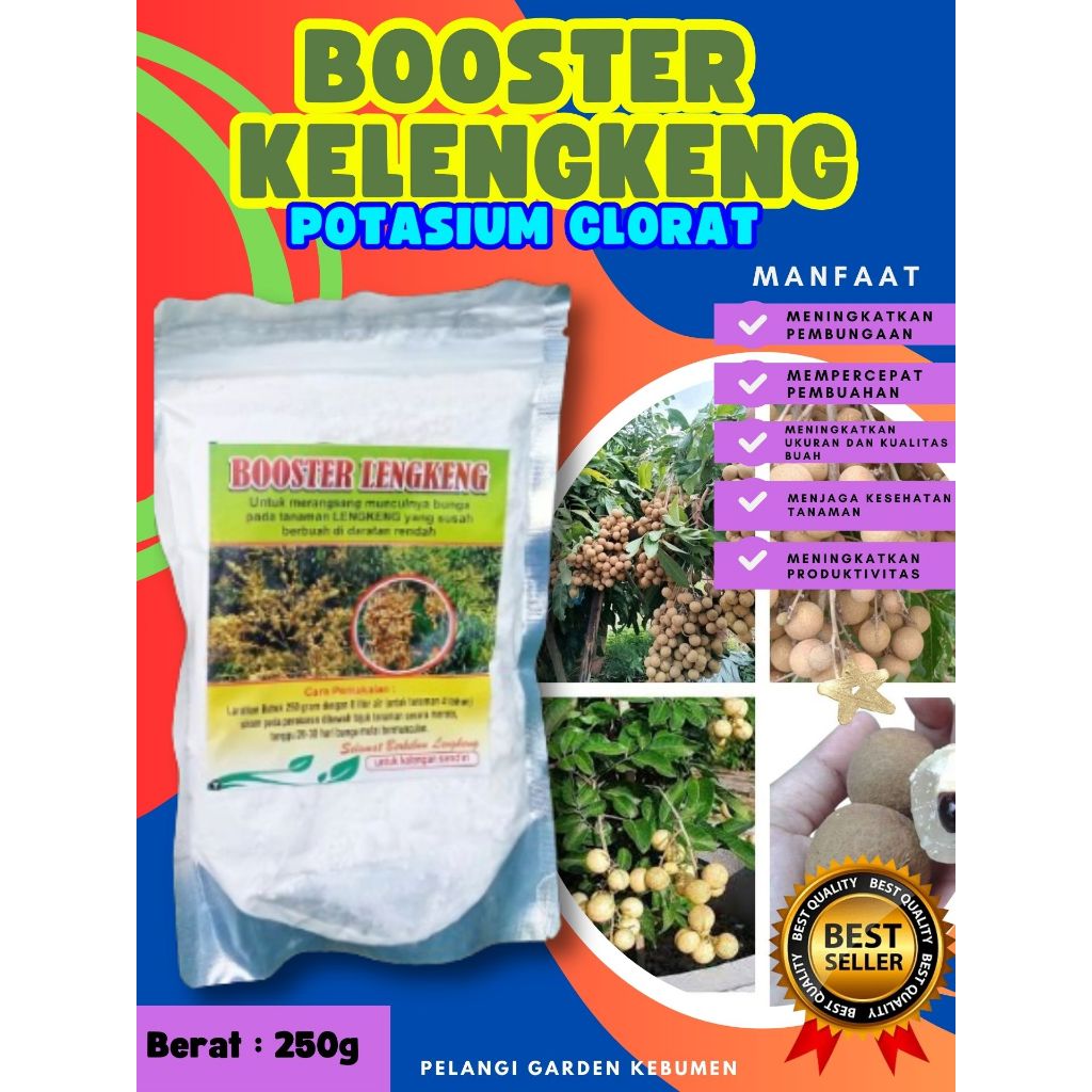 PANEN BERLIPAT..   Booster Kelengkeng New Kristal Cangkok, Booster Kelengkeng New Kristal Berbuah, B