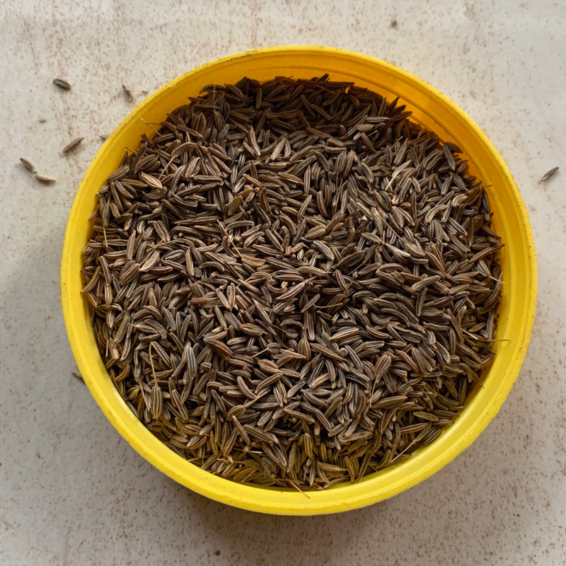 

Jinten utuh Kering Rempahlu - 100gr | Rempah Aromatik asli Lumajang, Kaya Manfaat dan CitaRasa