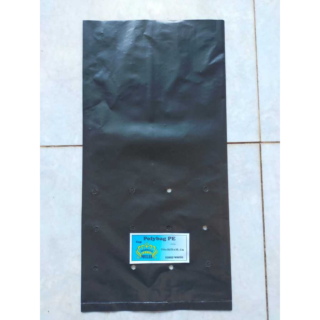 1 KG POLIBAG POLYBAG 50x50 TEBAL 100 MICRON