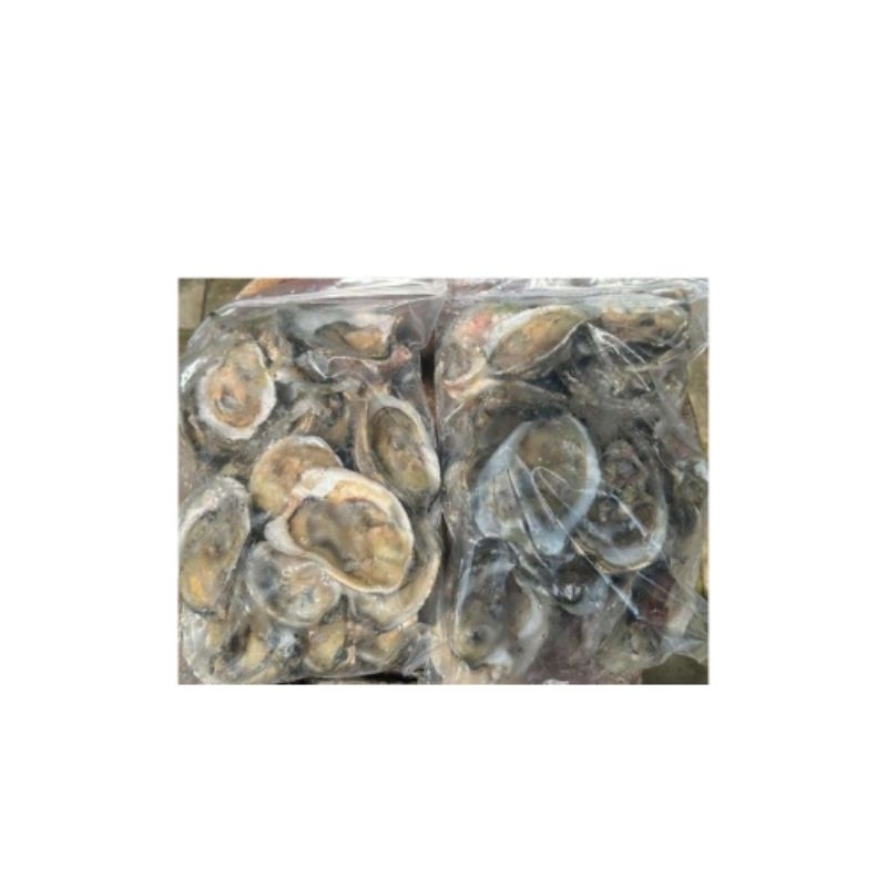 

oister kerang