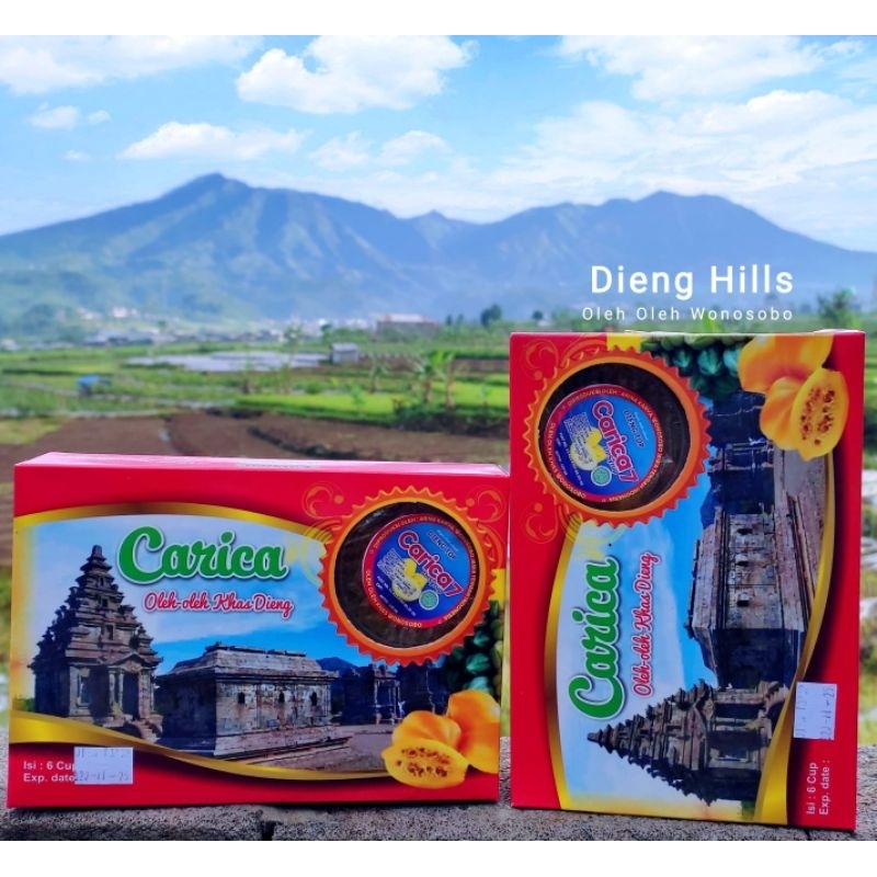 

CARICA PREMIUM KHAS DIENG WONOSOBO ENAK SEGAR OLEH OLEH KHAS WONOSOBO