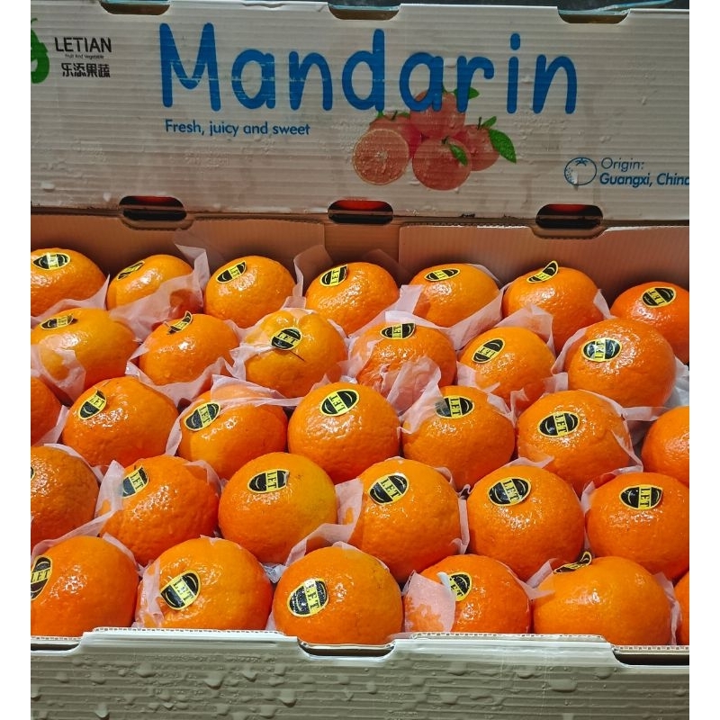 

Jeruk Wokam super manis